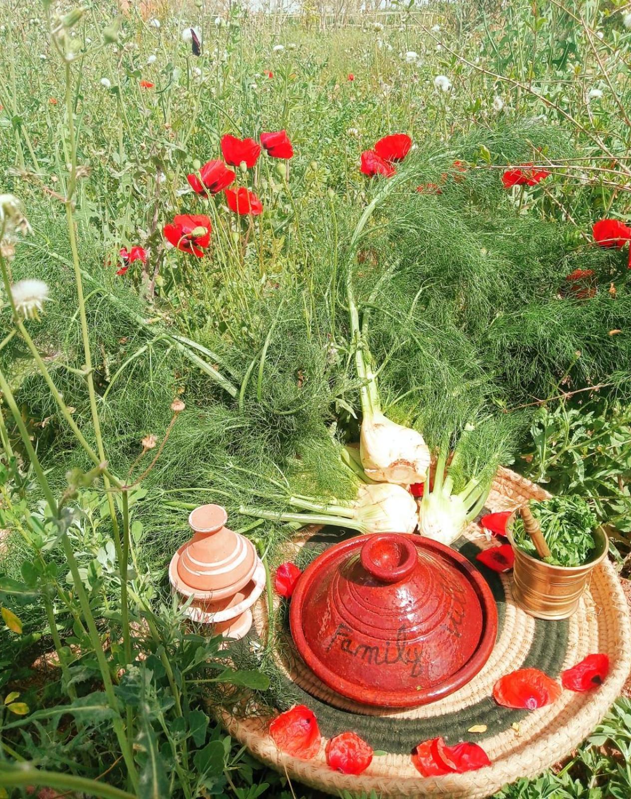מרקש Family Village Marrakech מראה חיצוני תמונה